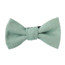 画像をギャラリービューアに読み込む, BLUE MALLOW