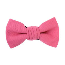 画像をギャラリービューアに読み込む, PURPLE CABBAGE