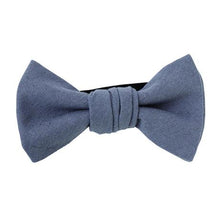 画像をギャラリービューアに読み込む, BLUEBERRY