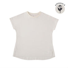 画像をギャラリービューアに読み込む, ECHINACEA(オフホワイト)