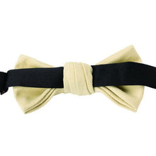 画像をギャラリービューアに読み込む, TWILL BOW