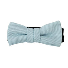 画像をギャラリービューアに読み込む, BLUE MALLOW