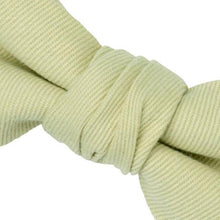 画像をギャラリービューアに読み込む, TWILL BOW