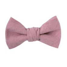 画像をギャラリービューアに読み込む, PURPLE CABBAGE