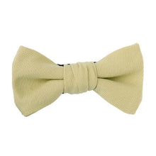 画像をギャラリービューアに読み込む, LETTUCE