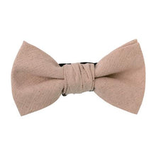 画像をギャラリービューアに読み込む, PERSIMMON