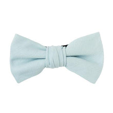 画像をギャラリービューアに読み込む, BLUE MALLOW