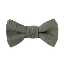 画像をギャラリービューアに読み込む, ECHINACEA