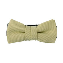 画像をギャラリービューアに読み込む, LETTUCE