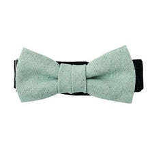 画像をギャラリービューアに読み込む, BLUE MALLOW