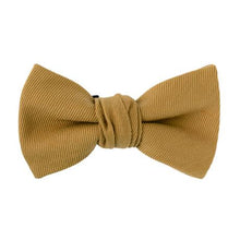 画像をギャラリービューアに読み込む, ESPRESSO