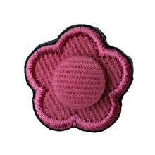 画像をギャラリービューアに読み込む, PURPLE CABBAGE