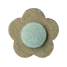 画像をギャラリービューアに読み込む, ECHINACEA