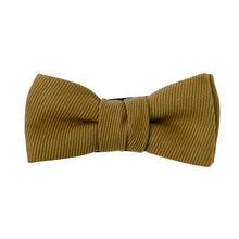 画像をギャラリービューアに読み込む, ESPRESSO