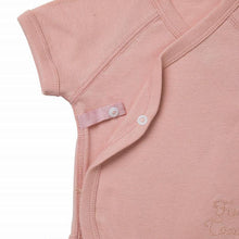 画像をギャラリービューアに読み込む, CHERRY BLOSSOMS