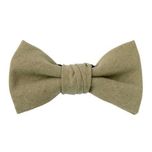 画像をギャラリービューアに読み込む, ECHINACEA