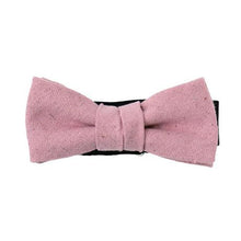 画像をギャラリービューアに読み込む, PURPLE CABBAGE