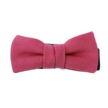 画像をギャラリービューアに読み込む, PURPLE CABBAGE