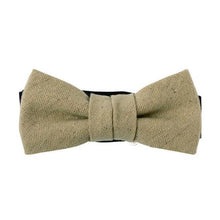 画像をギャラリービューアに読み込む, ECHINACEA