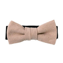 画像をギャラリービューアに読み込む, PERSIMMON