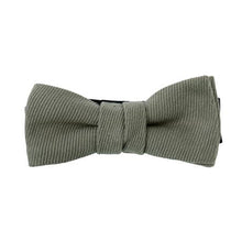 画像をギャラリービューアに読み込む, ECHINACEA