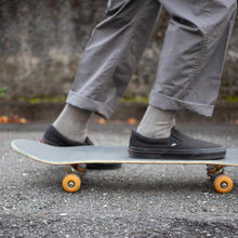 画像をギャラリービューアに読み込む, SOCKS